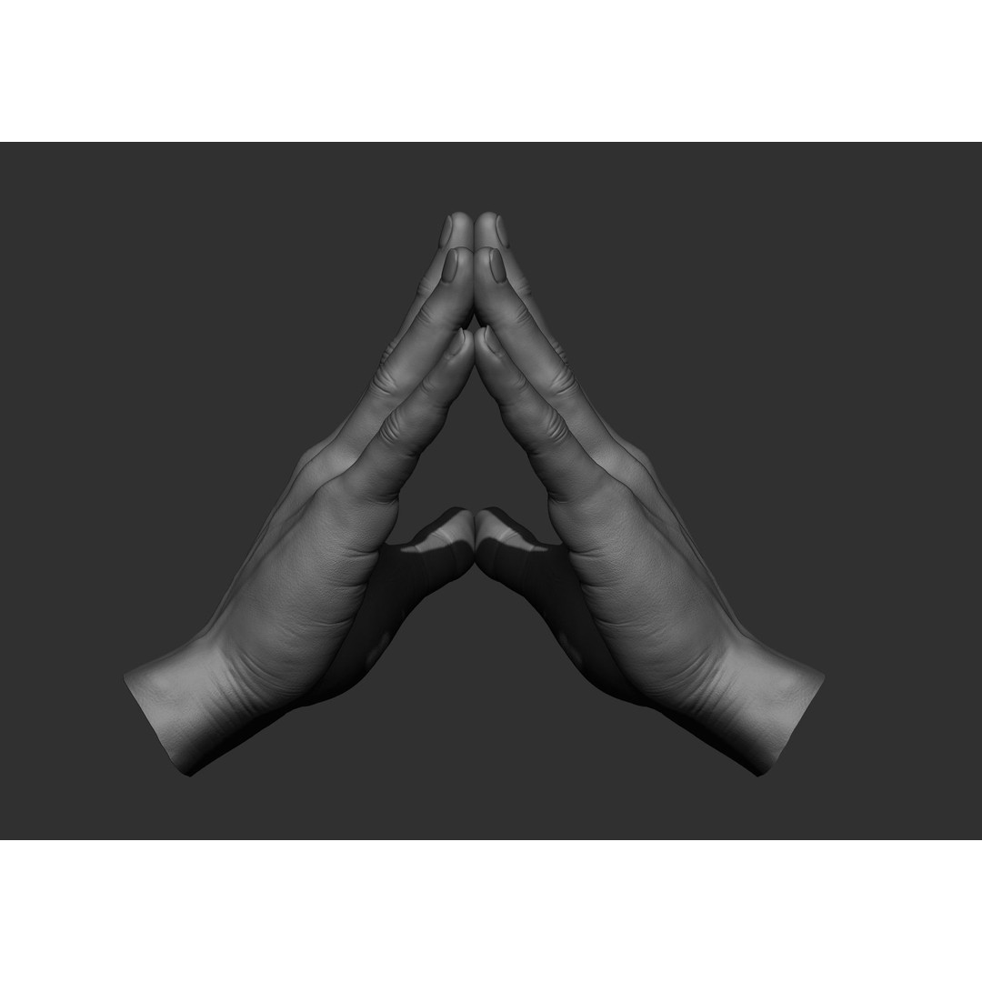 Realistic Male Hand Poses 3D Model – High Poly ZBrush Sculpt, FBX, OBJ - View 42