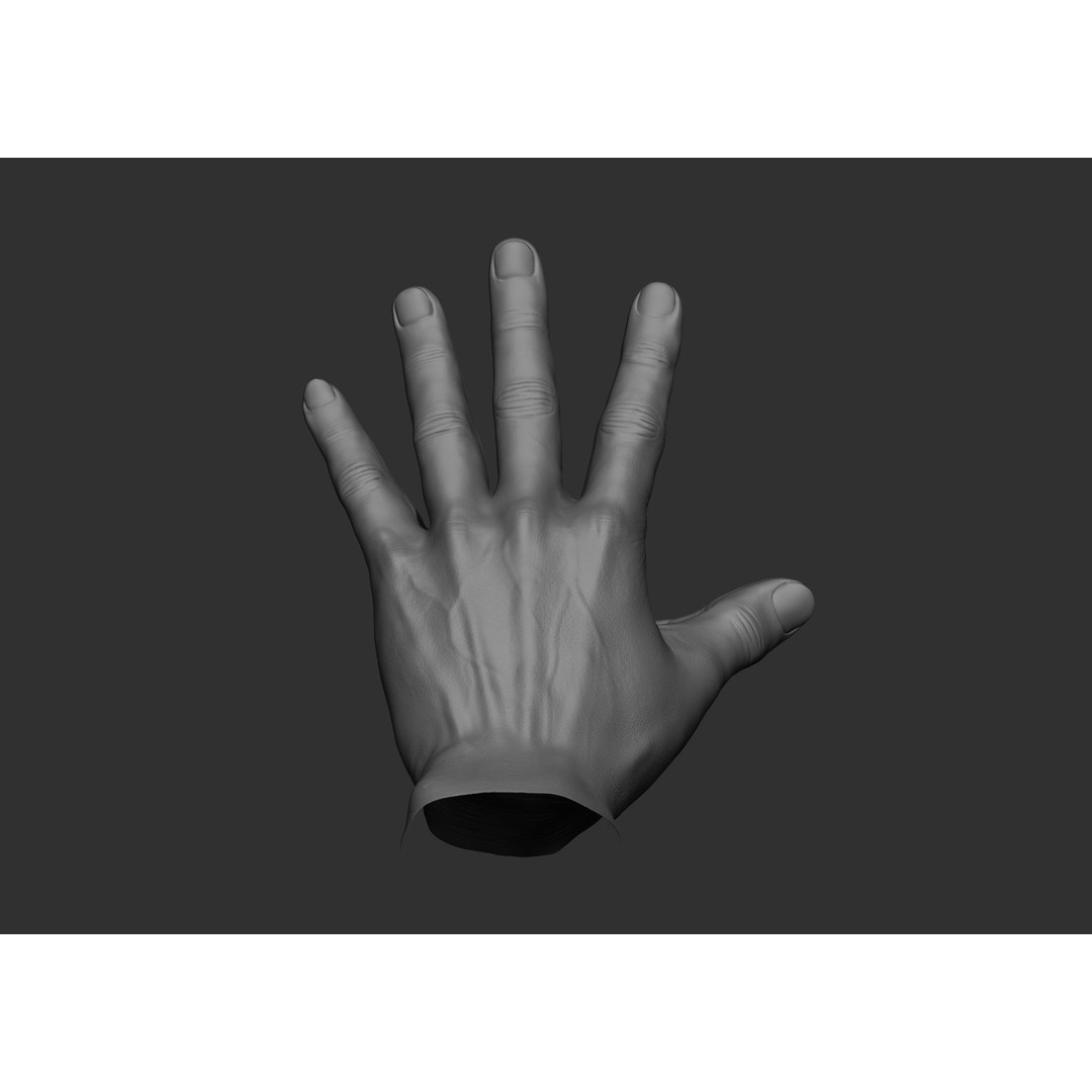 Realistic Male Hand Poses 3D Model – High Poly ZBrush Sculpt, FBX, OBJ - View 43