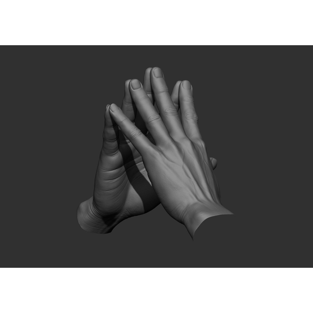 Realistic Male Hand Poses 3D Model – High Poly ZBrush Sculpt, FBX, OBJ - View 44