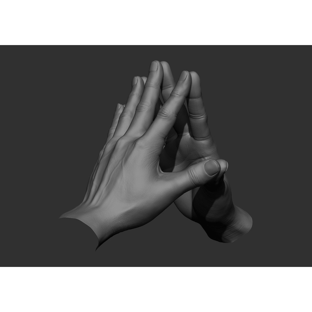 Realistic Male Hand Poses 3D Model – High Poly ZBrush Sculpt, FBX, OBJ - View 45