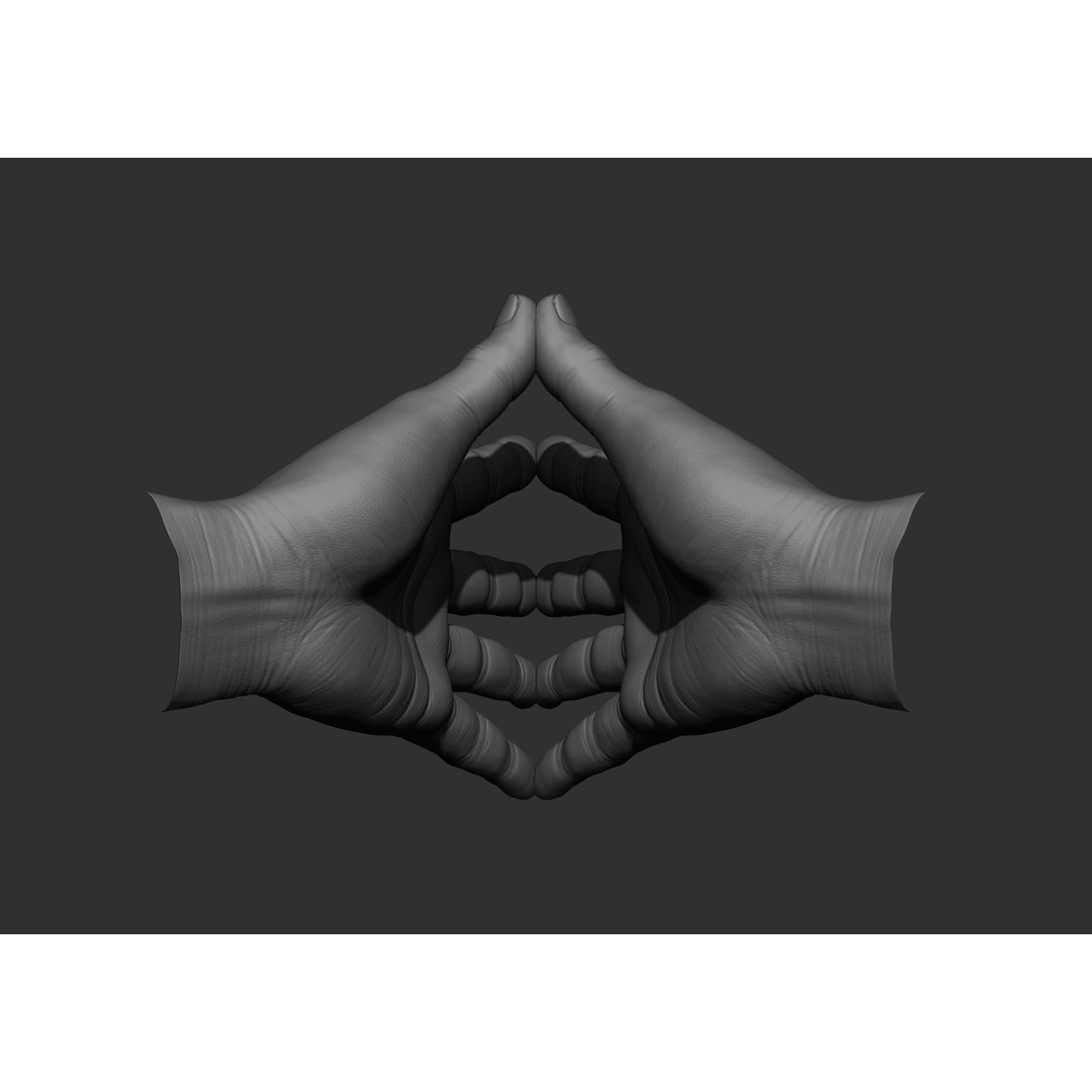 Realistic Male Hand Poses 3D Model – High Poly ZBrush Sculpt, FBX, OBJ - View 46