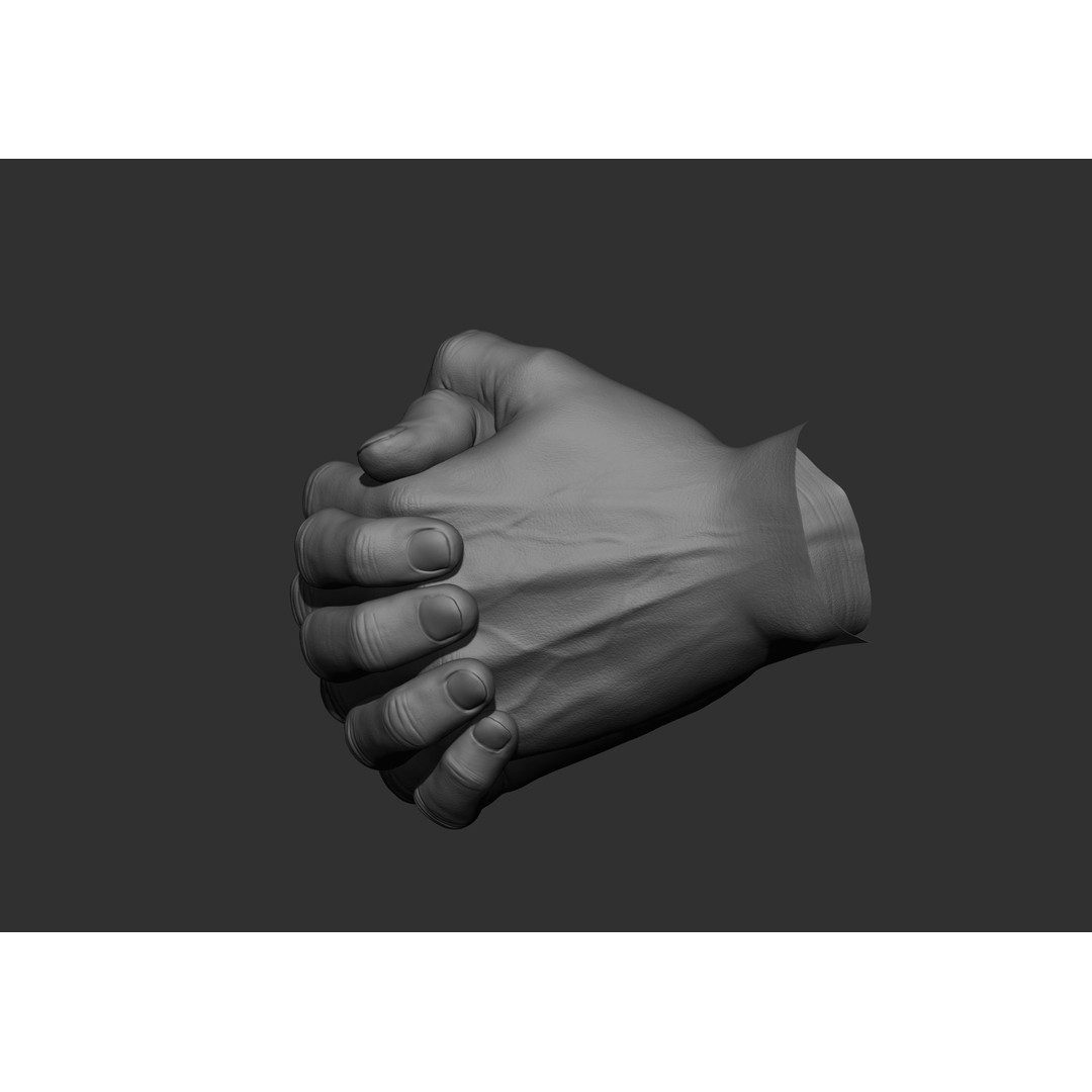 Realistic Male Hand Poses 3D Model – High Poly ZBrush Sculpt, FBX, OBJ - View 47