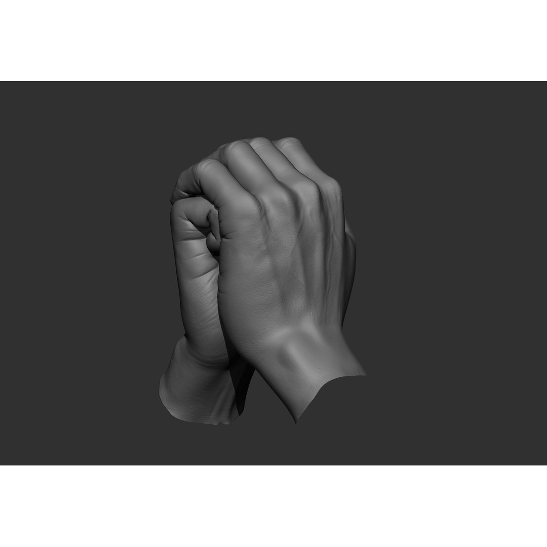 Realistic Male Hand Poses 3D Model – High Poly ZBrush Sculpt, FBX, OBJ - View 48