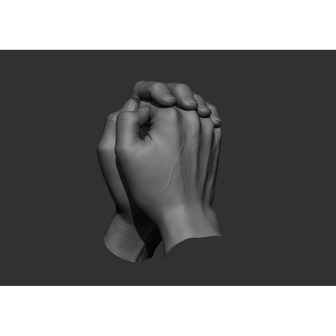Realistic Male Hand Poses 3D Model – High Poly ZBrush Sculpt, FBX, OBJ - View 49