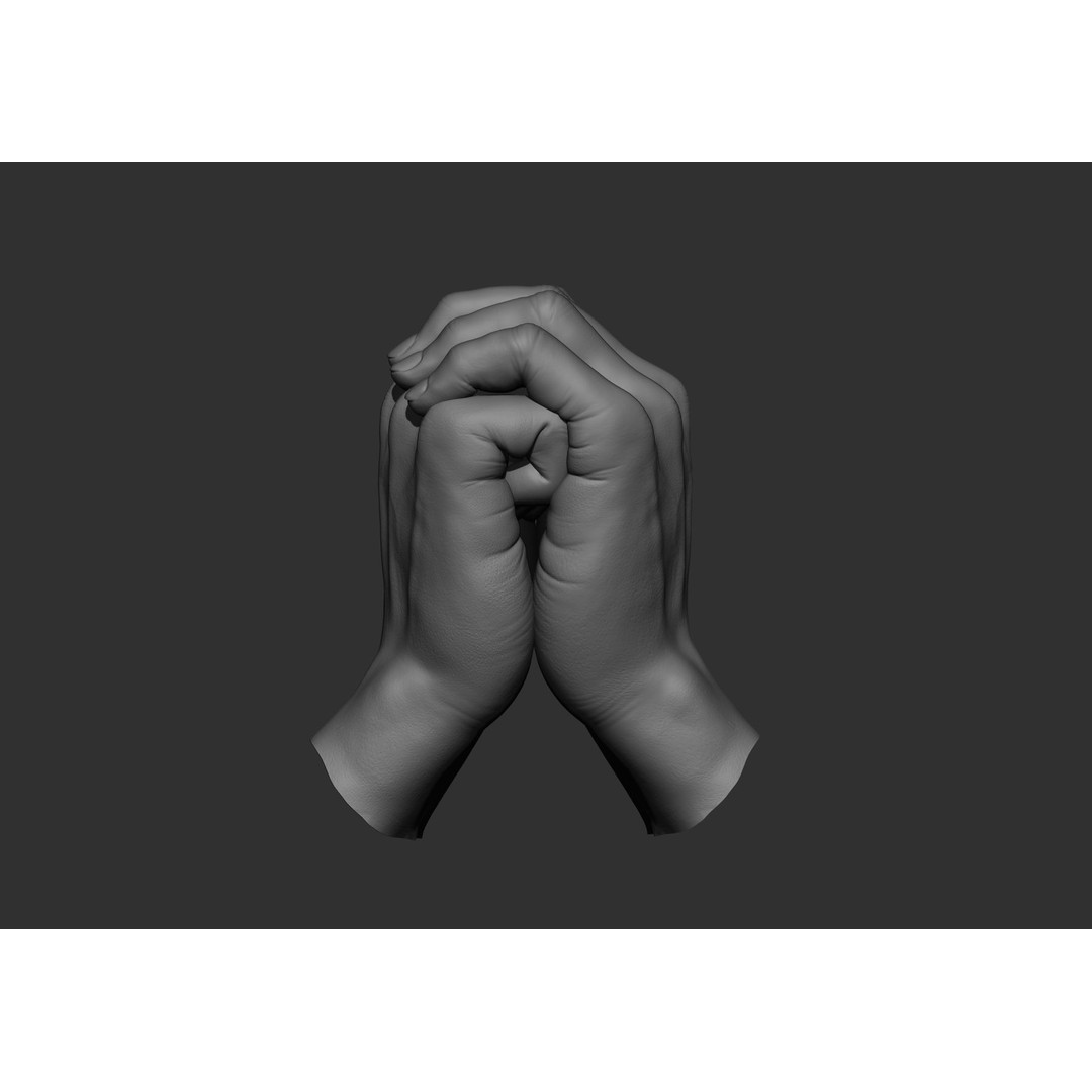 Realistic Male Hand Poses 3D Model – High Poly ZBrush Sculpt, FBX, OBJ - View 50