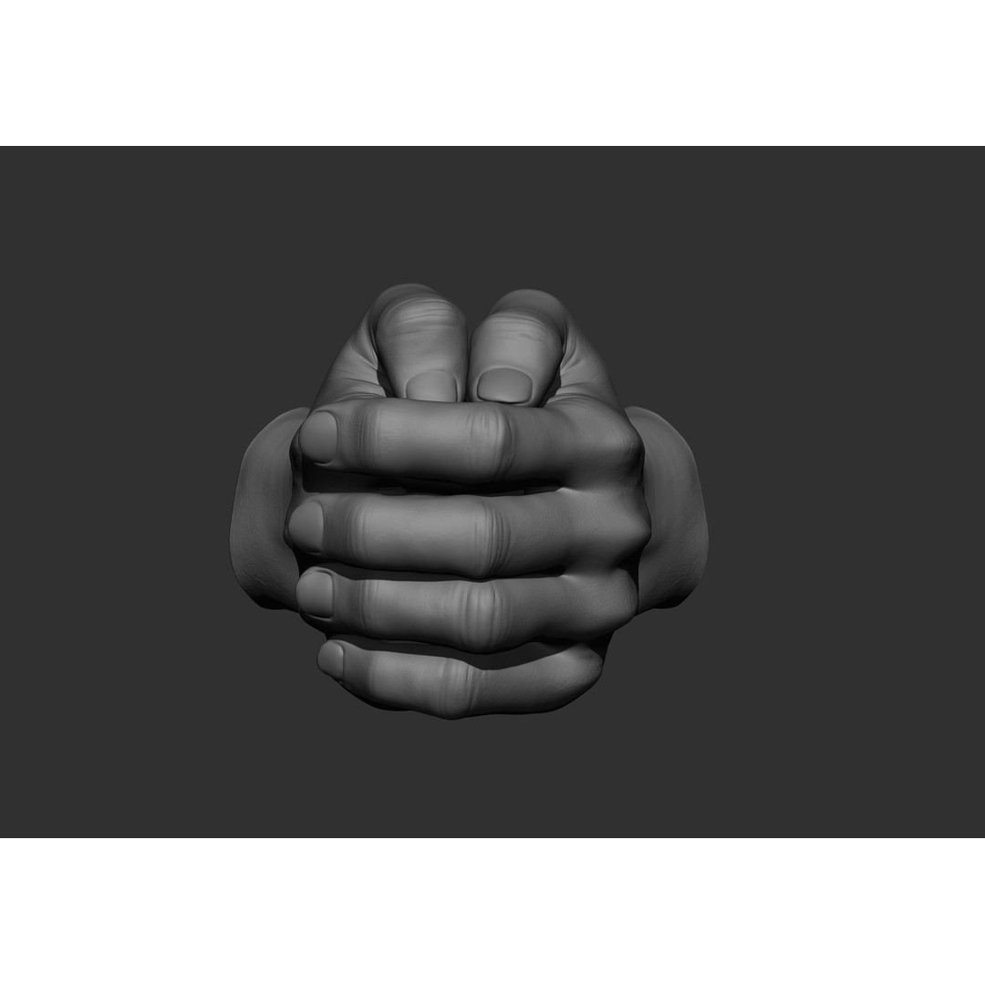 Realistic Male Hand Poses 3D Model – High Poly ZBrush Sculpt, FBX, OBJ - View 51