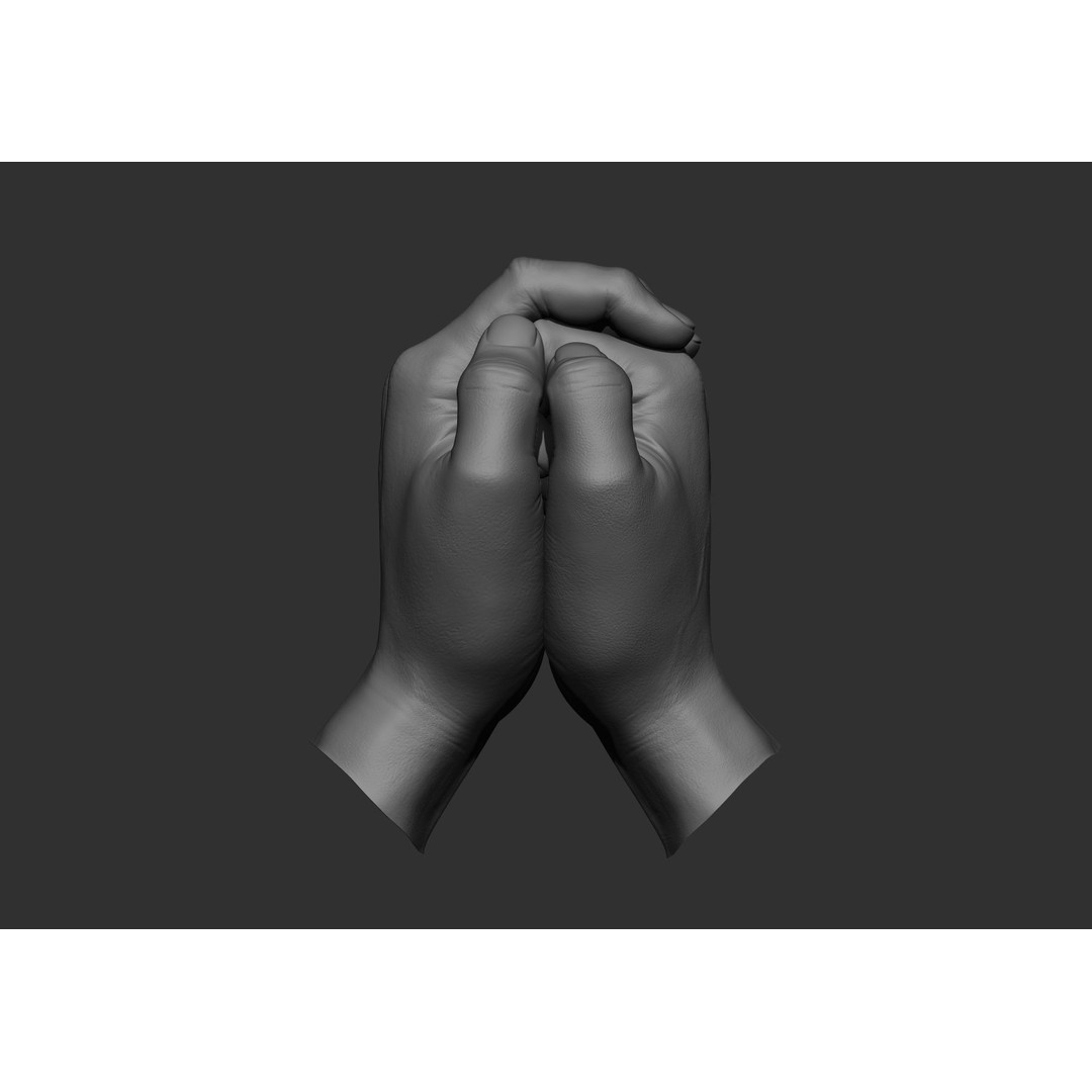 Realistic Male Hand Poses 3D Model – High Poly ZBrush Sculpt, FBX, OBJ - View 52