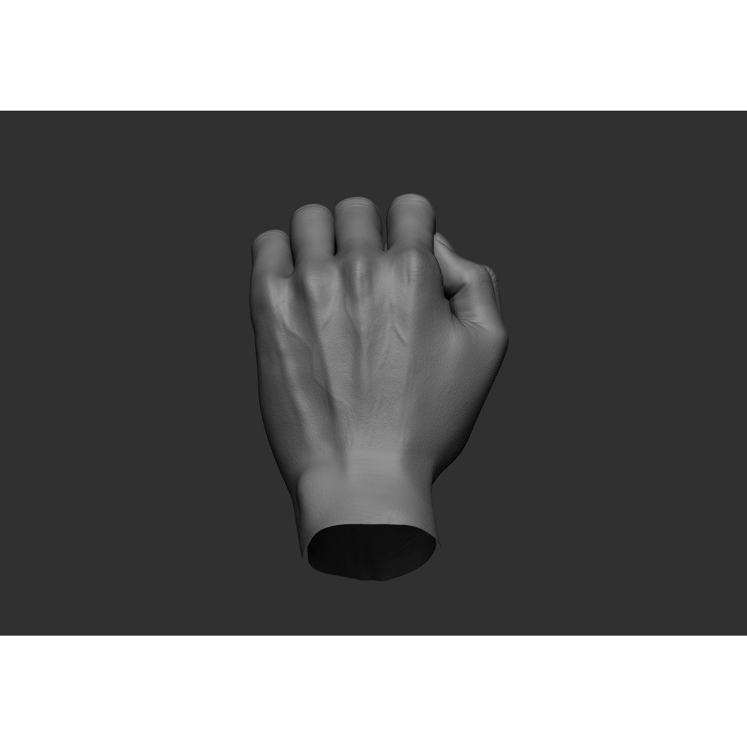 Realistic Male Hand Poses 3D Model – High Poly ZBrush Sculpt, FBX, OBJ - View 53
