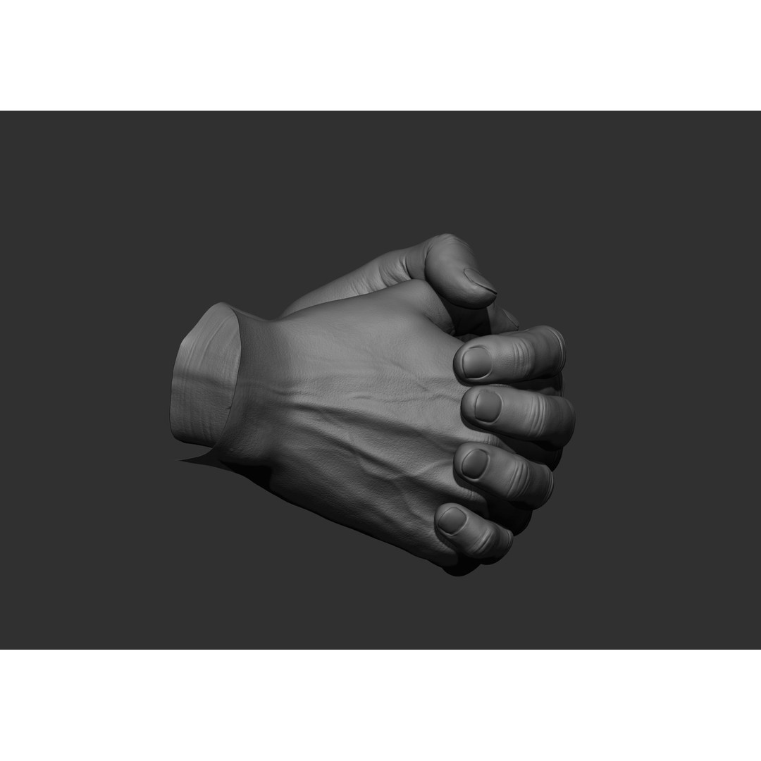 Realistic Male Hand Poses 3D Model – High Poly ZBrush Sculpt, FBX, OBJ - View 54