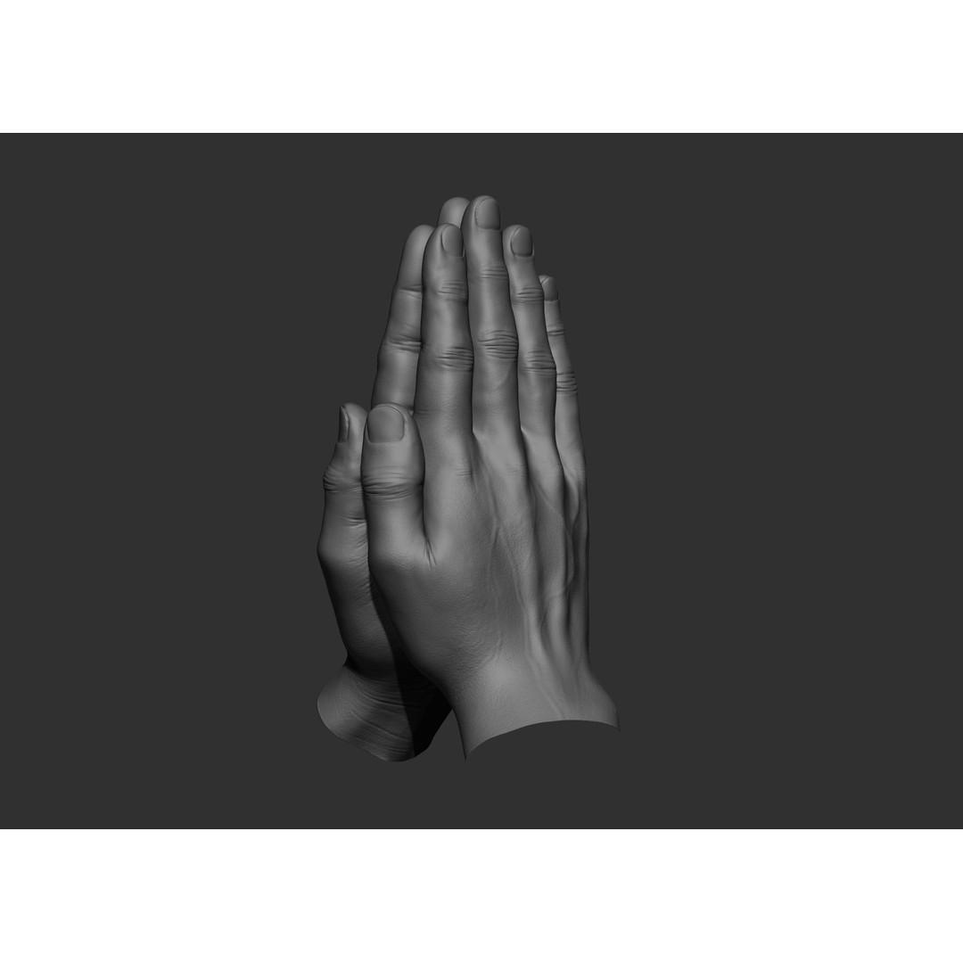 Realistic Male Hand Poses 3D Model – High Poly ZBrush Sculpt, FBX, OBJ - View 55