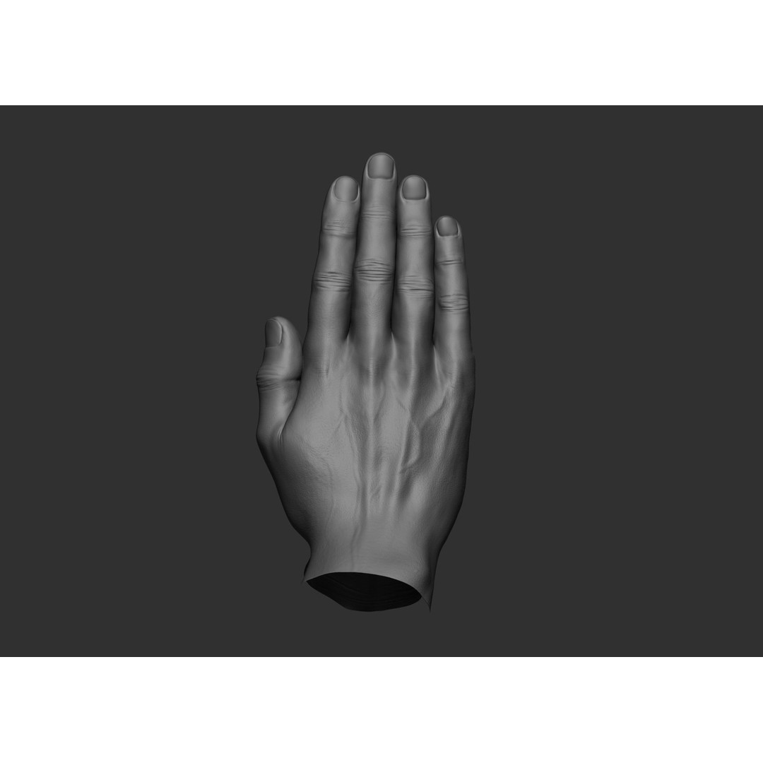 Realistic Male Hand Poses 3D Model – High Poly ZBrush Sculpt, FBX, OBJ - View 56
