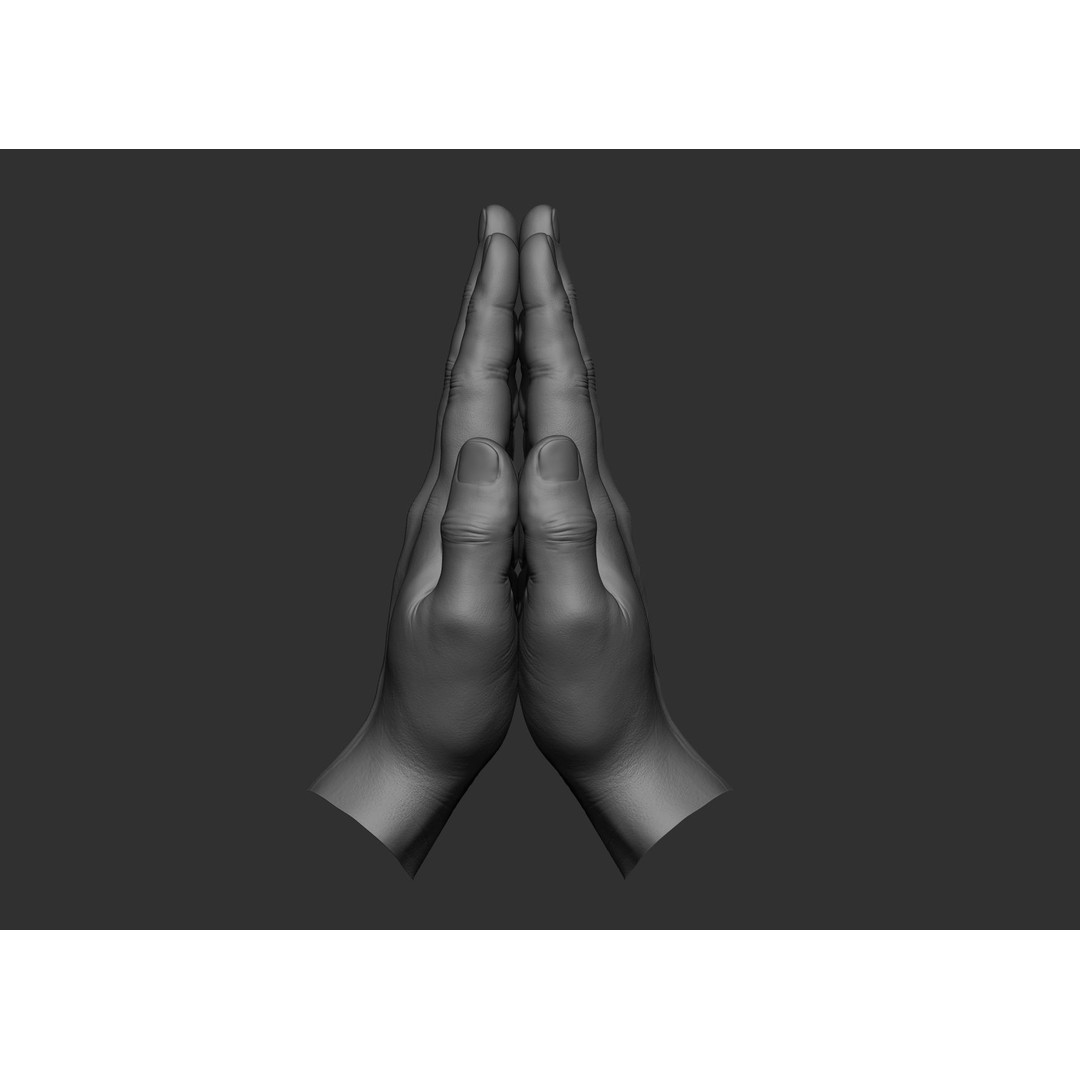 Realistic Male Hand Poses 3D Model – High Poly ZBrush Sculpt, FBX, OBJ - View 57