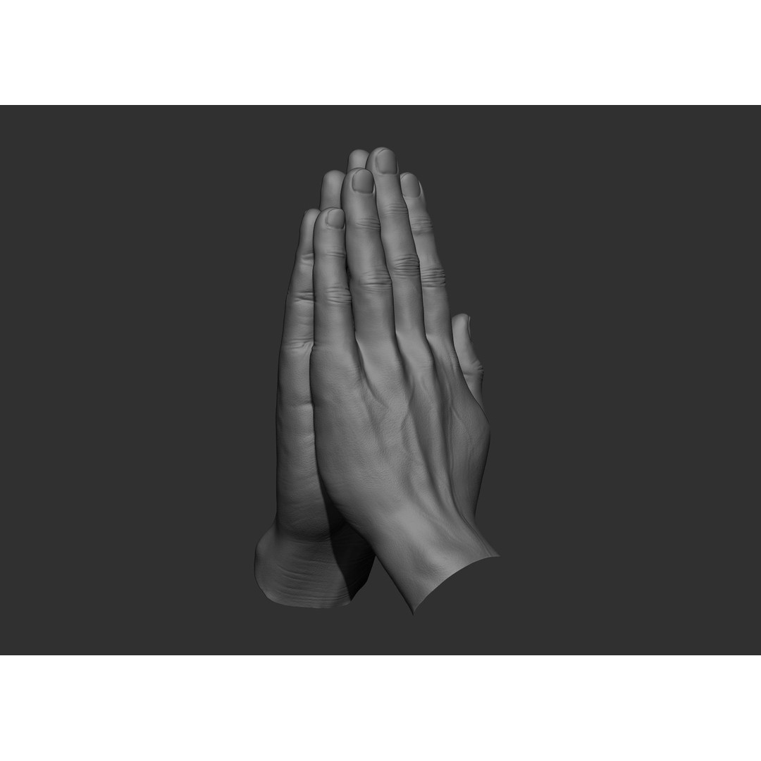 Realistic Male Hand Poses 3D Model – High Poly ZBrush Sculpt, FBX, OBJ - View 58