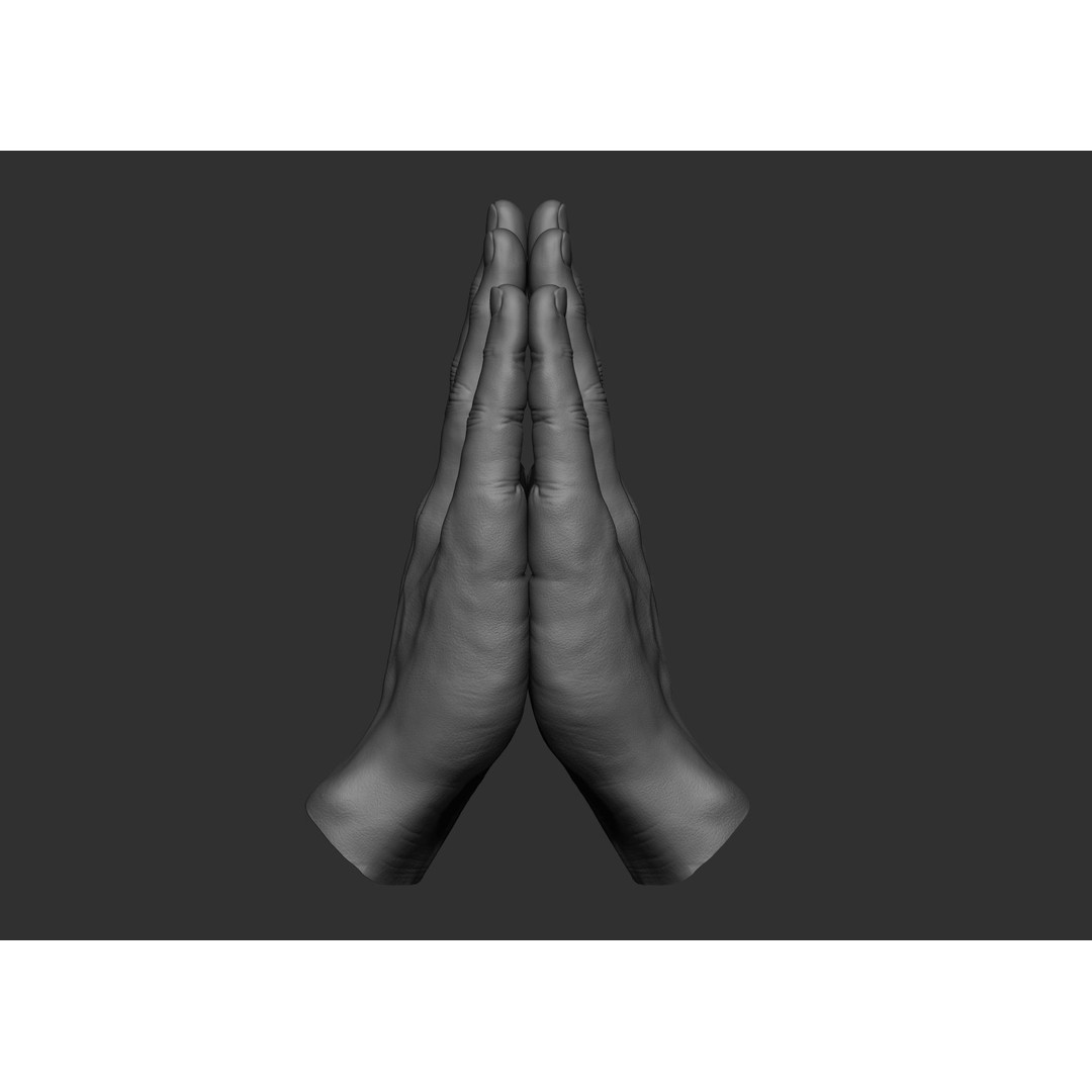 Realistic Male Hand Poses 3D Model – High Poly ZBrush Sculpt, FBX, OBJ - View 59