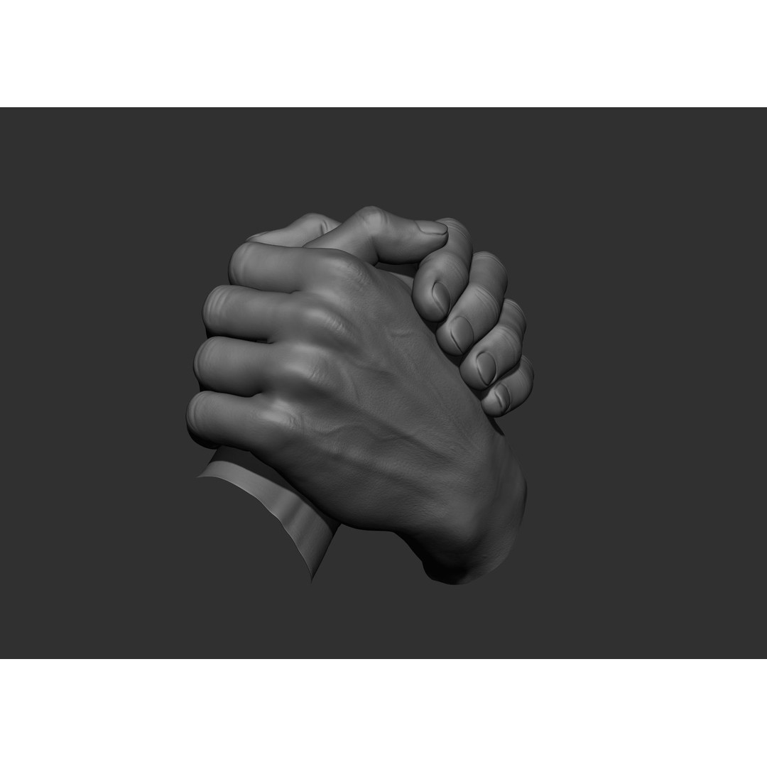 Realistic Male Hand Poses 3D Model – High Poly ZBrush Sculpt, FBX, OBJ - View 6