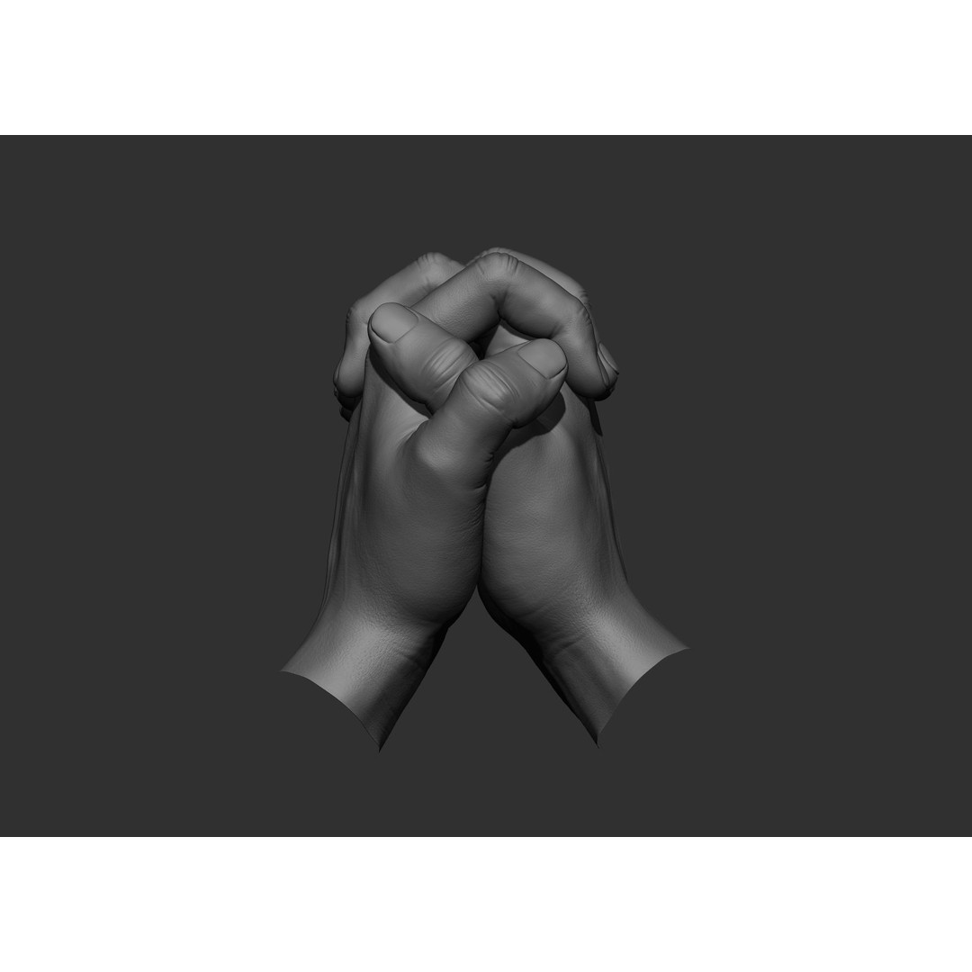 Realistic Male Hand Poses 3D Model – High Poly ZBrush Sculpt, FBX, OBJ - View 60