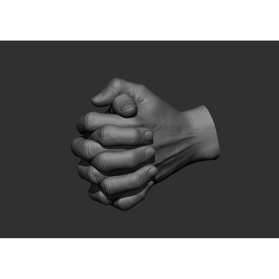 Realistic Male Hand Poses 3D Model – High Poly ZBrush Sculpt, FBX, OBJ - View 61