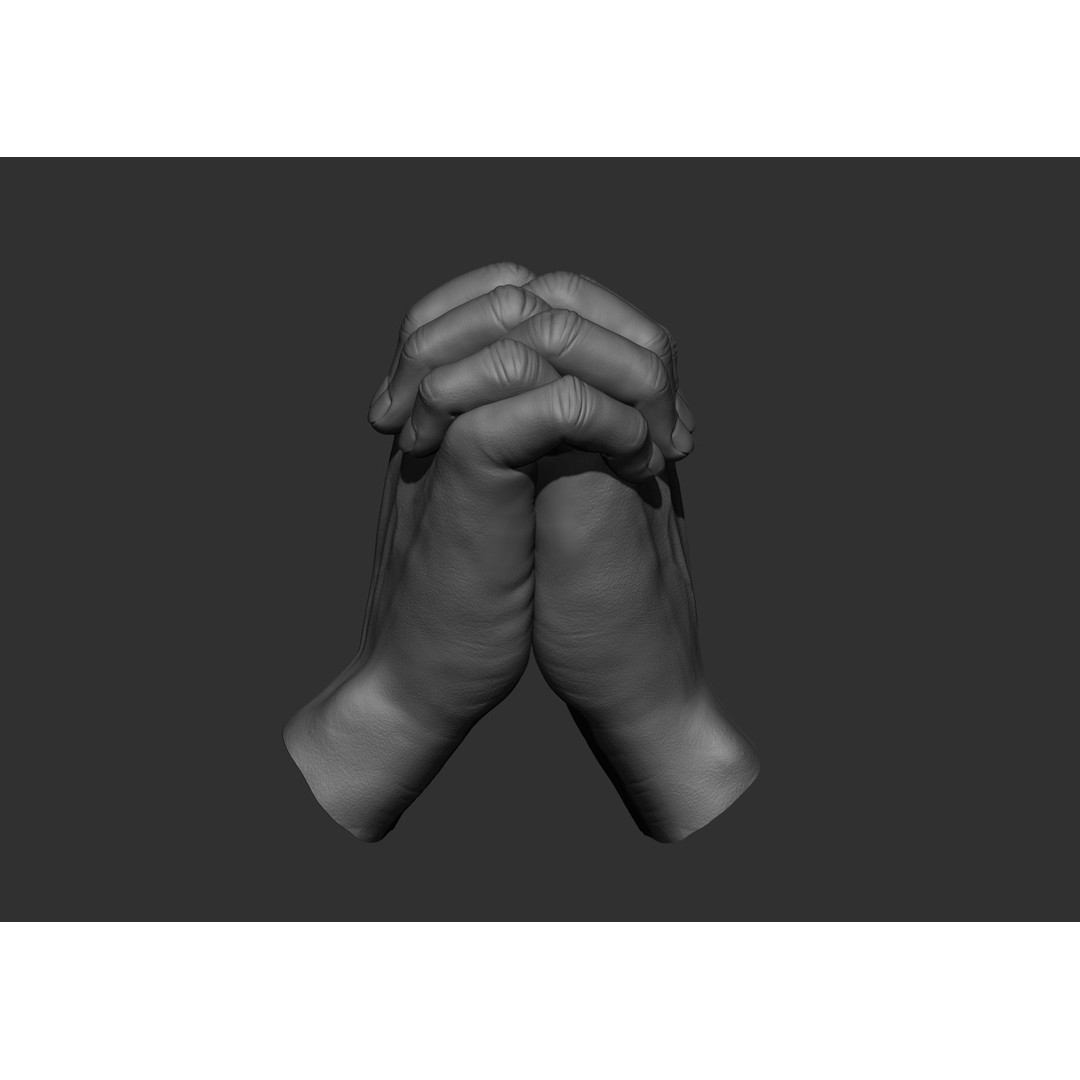 Realistic Male Hand Poses 3D Model – High Poly ZBrush Sculpt, FBX, OBJ - View 62