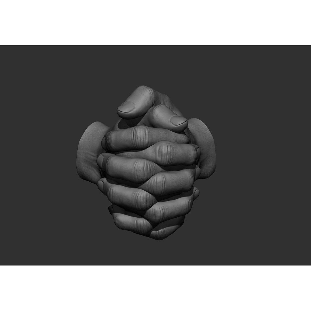Realistic Male Hand Poses 3D Model – High Poly ZBrush Sculpt, FBX, OBJ - View 63