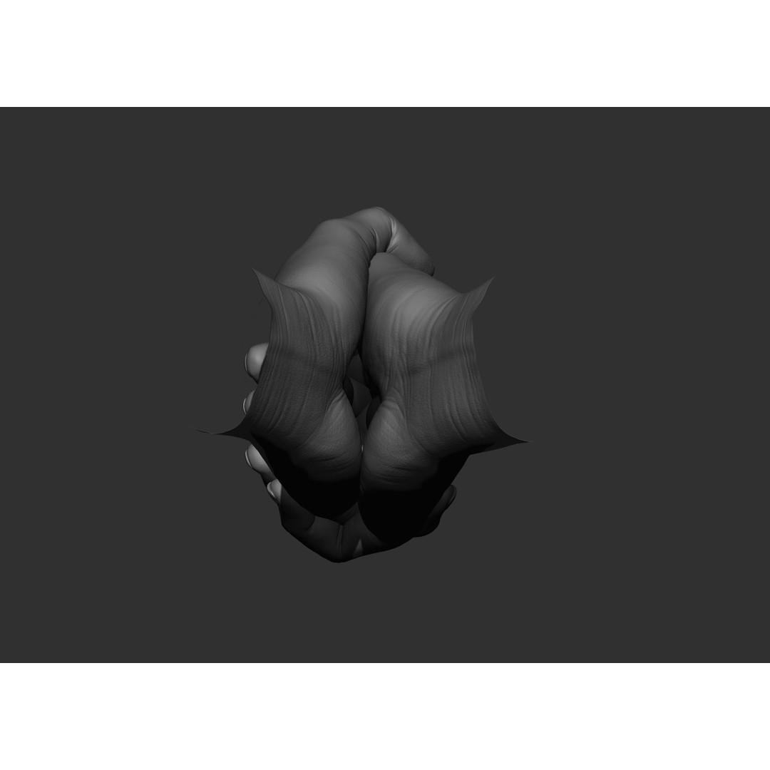 Realistic Male Hand Poses 3D Model – High Poly ZBrush Sculpt, FBX, OBJ - View 64