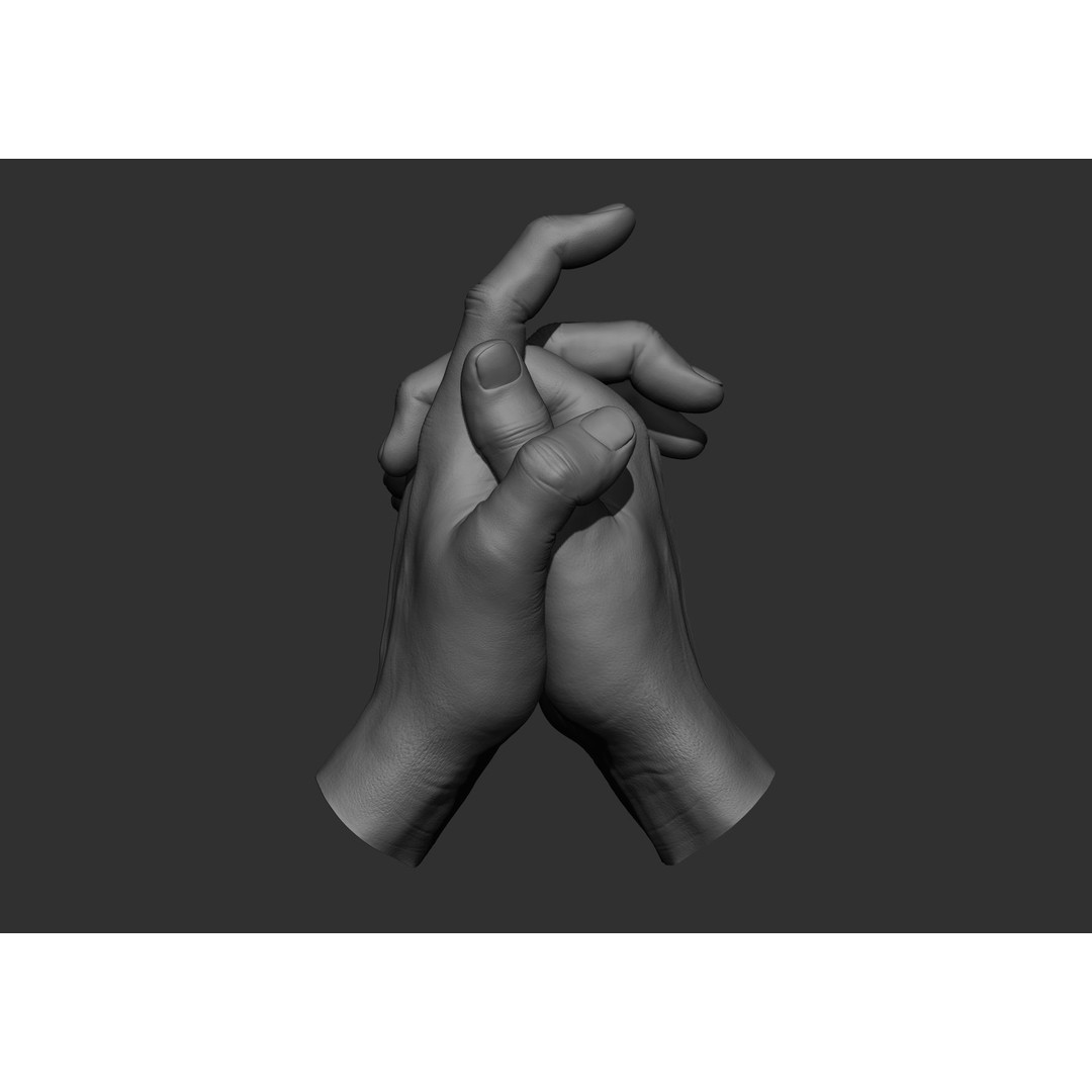Realistic Male Hand Poses 3D Model – High Poly ZBrush Sculpt, FBX, OBJ - View 65