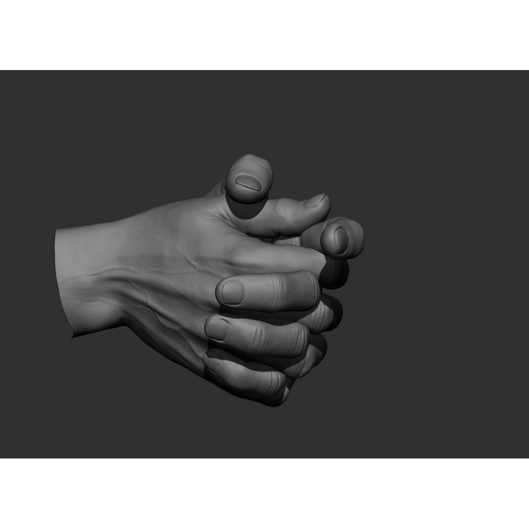 Realistic Male Hand Poses 3D Model – High Poly ZBrush Sculpt, FBX, OBJ - View 66