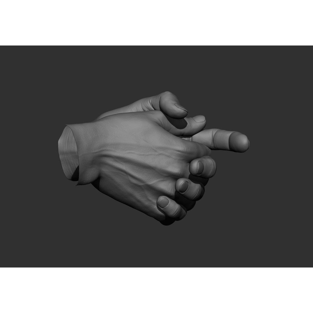Realistic Male Hand Poses 3D Model – High Poly ZBrush Sculpt, FBX, OBJ - View 67