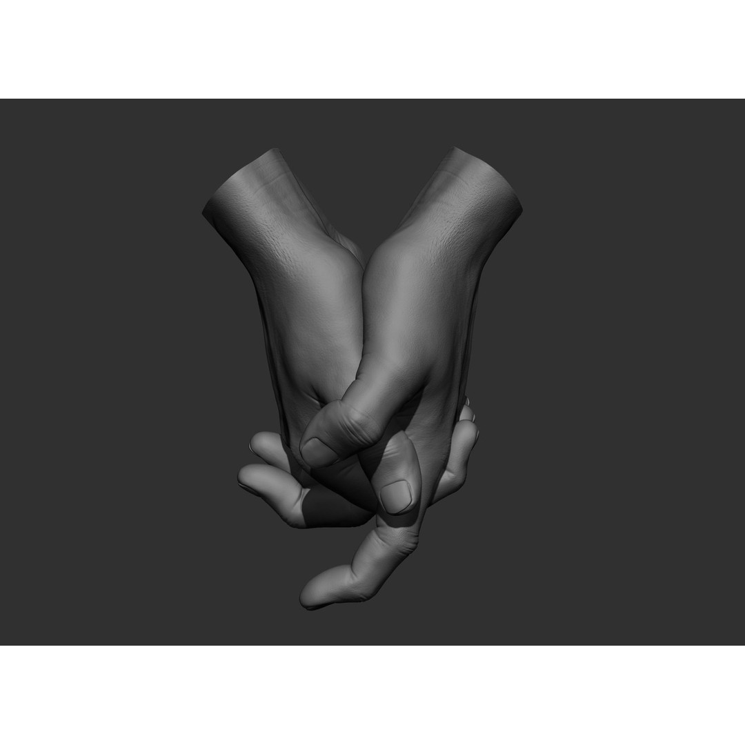 Realistic Male Hand Poses 3D Model – High Poly ZBrush Sculpt, FBX, OBJ - View 68