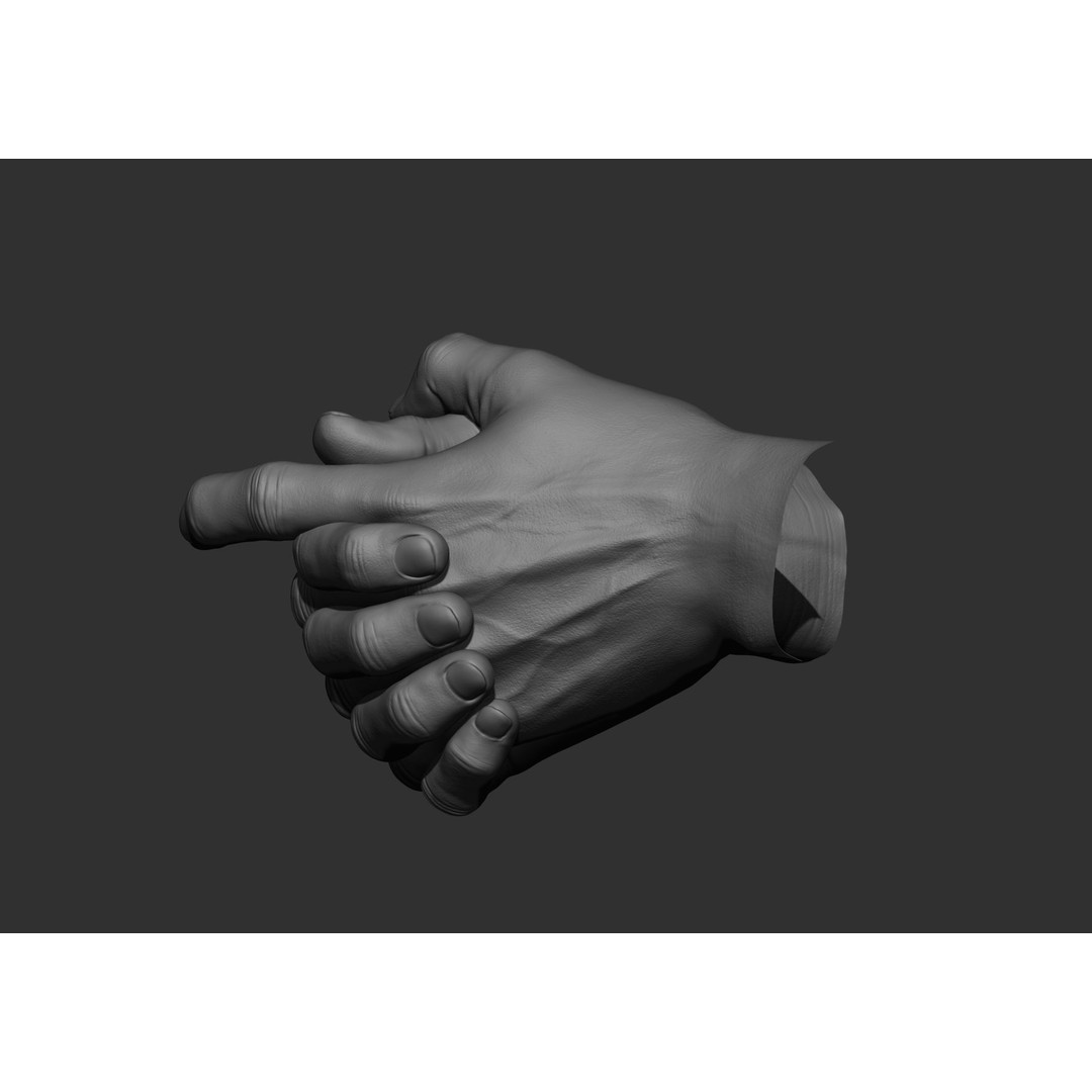 Realistic Male Hand Poses 3D Model – High Poly ZBrush Sculpt, FBX, OBJ - View 69