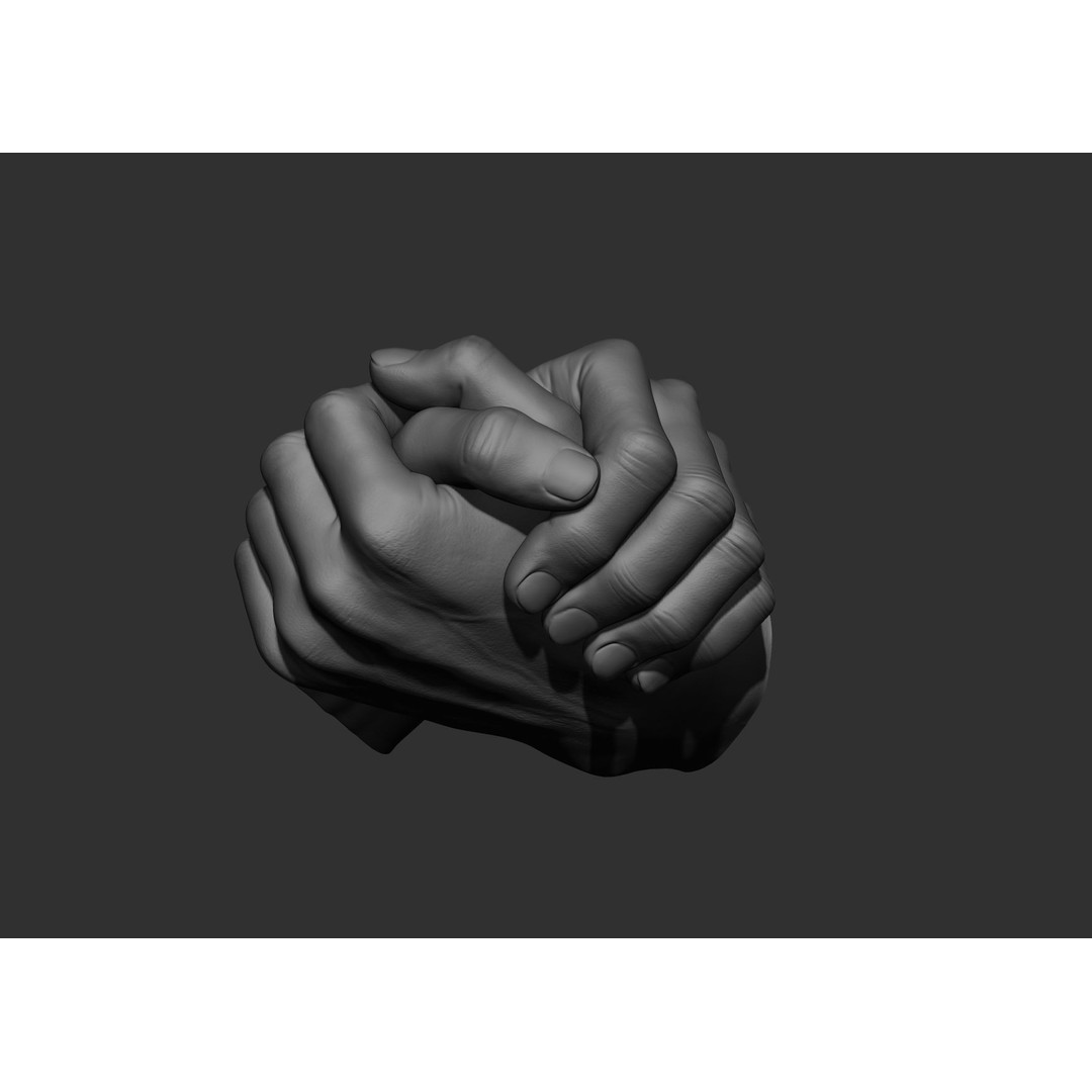 Realistic Male Hand Poses 3D Model – High Poly ZBrush Sculpt, FBX, OBJ - View 7
