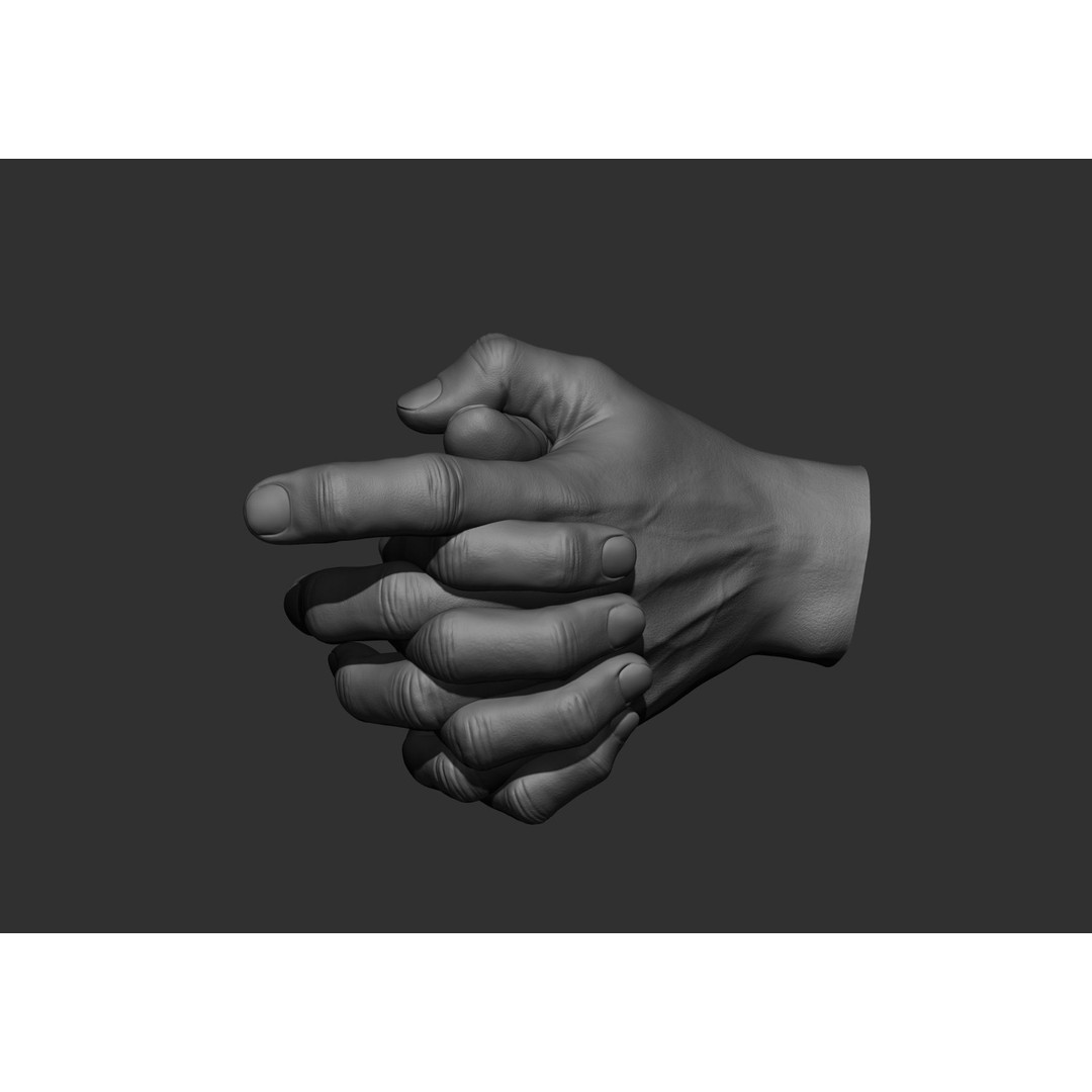 Realistic Male Hand Poses 3D Model – High Poly ZBrush Sculpt, FBX, OBJ - View 70