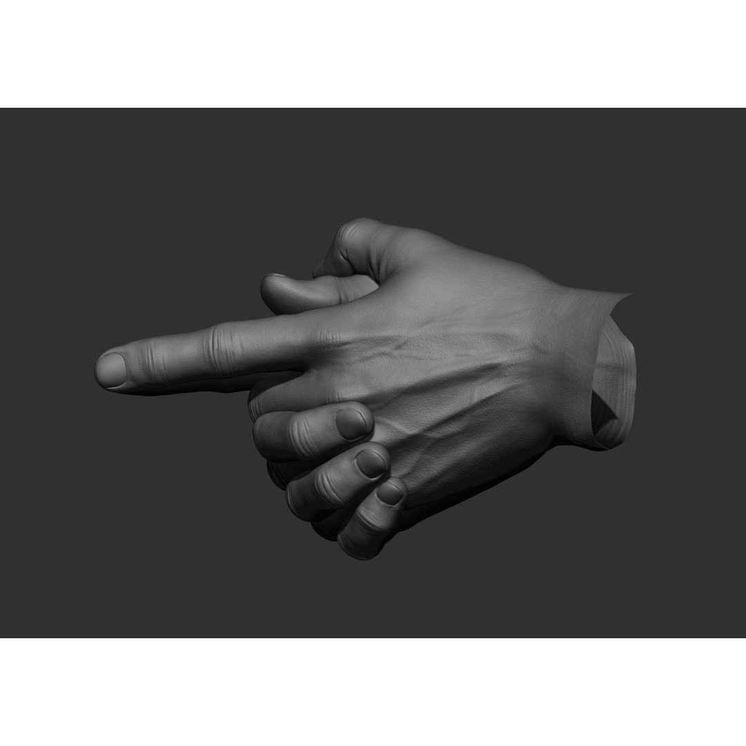Realistic Male Hand Poses 3D Model – High Poly ZBrush Sculpt, FBX, OBJ - View 71