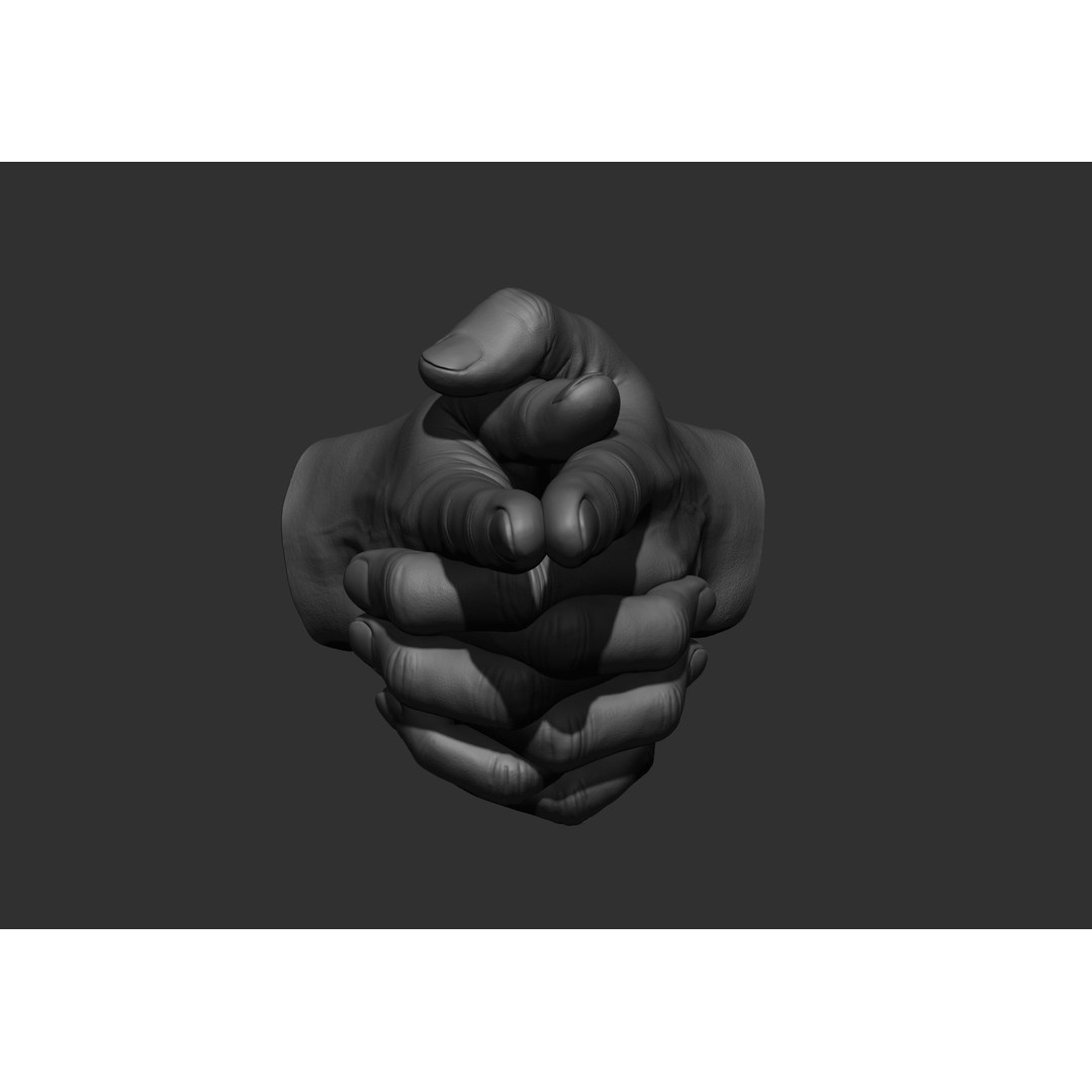 Realistic Male Hand Poses 3D Model – High Poly ZBrush Sculpt, FBX, OBJ - View 72