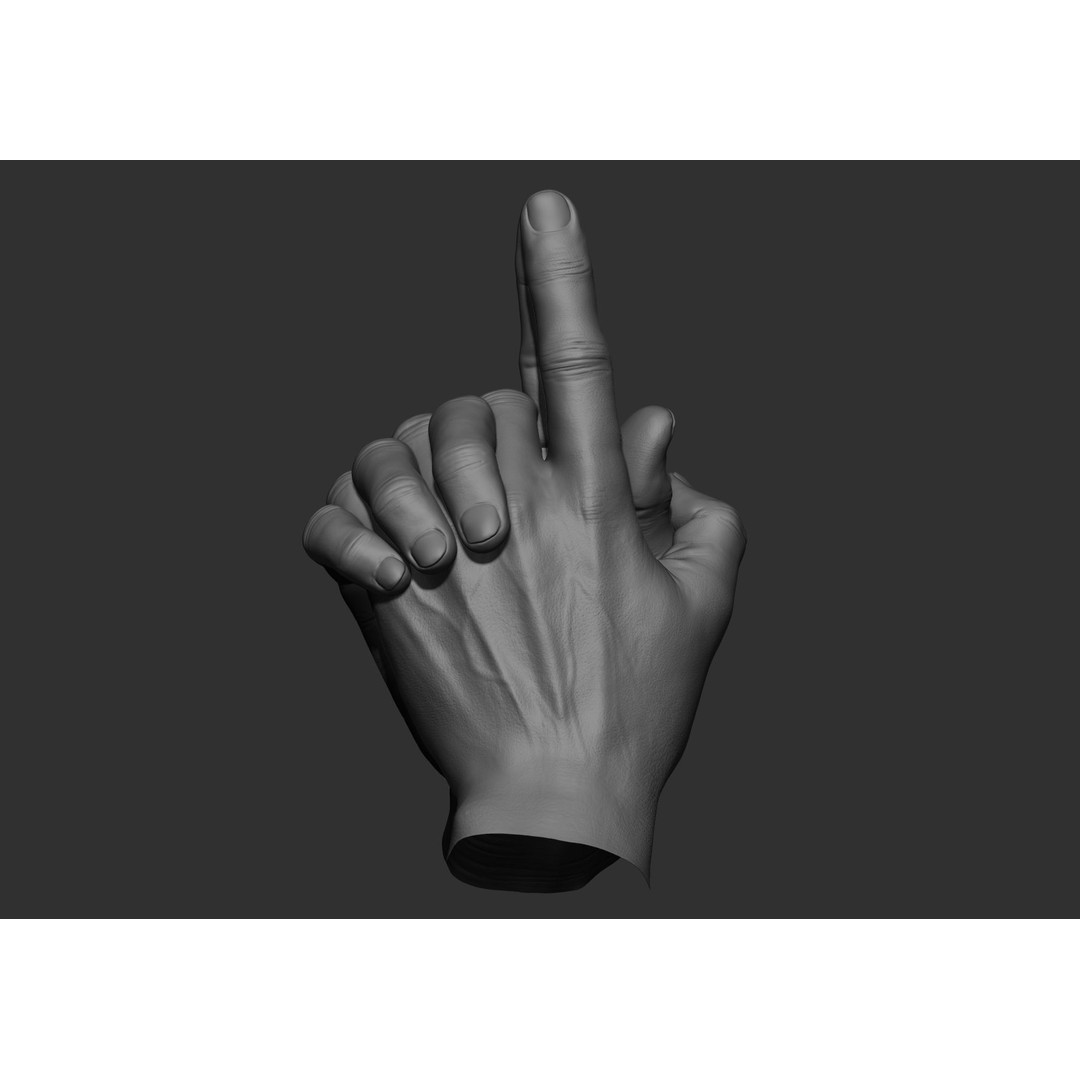 Realistic Male Hand Poses 3D Model – High Poly ZBrush Sculpt, FBX, OBJ - View 73