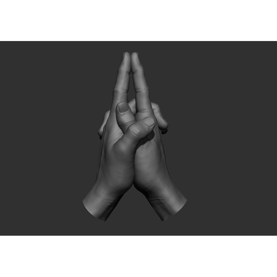 Realistic Male Hand Poses 3D Model – High Poly ZBrush Sculpt, FBX, OBJ - View 74