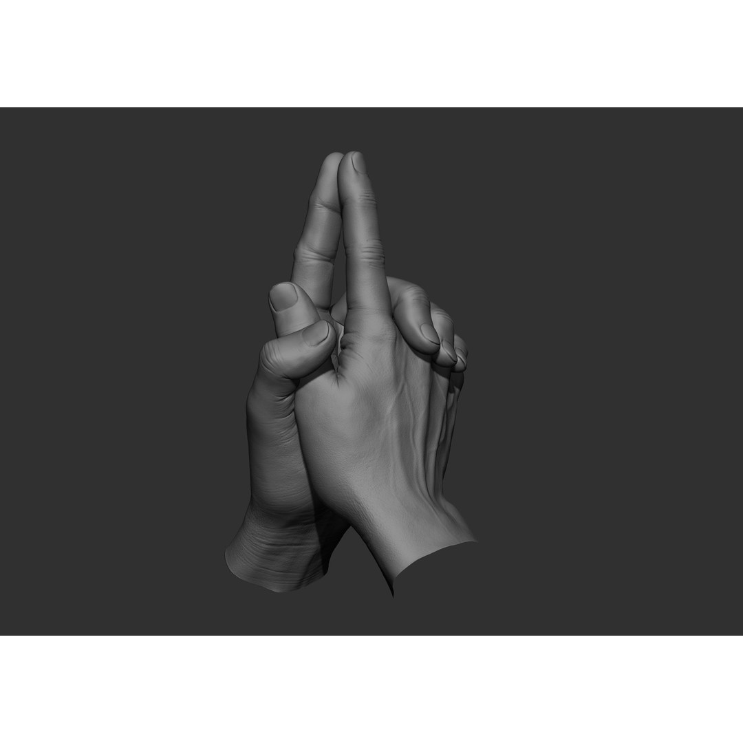 Realistic Male Hand Poses 3D Model – High Poly ZBrush Sculpt, FBX, OBJ - View 75