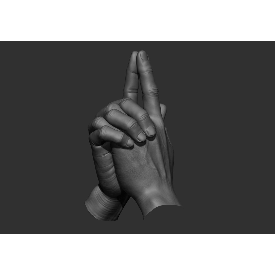 Realistic Male Hand Poses 3D Model – High Poly ZBrush Sculpt, FBX, OBJ - View 76