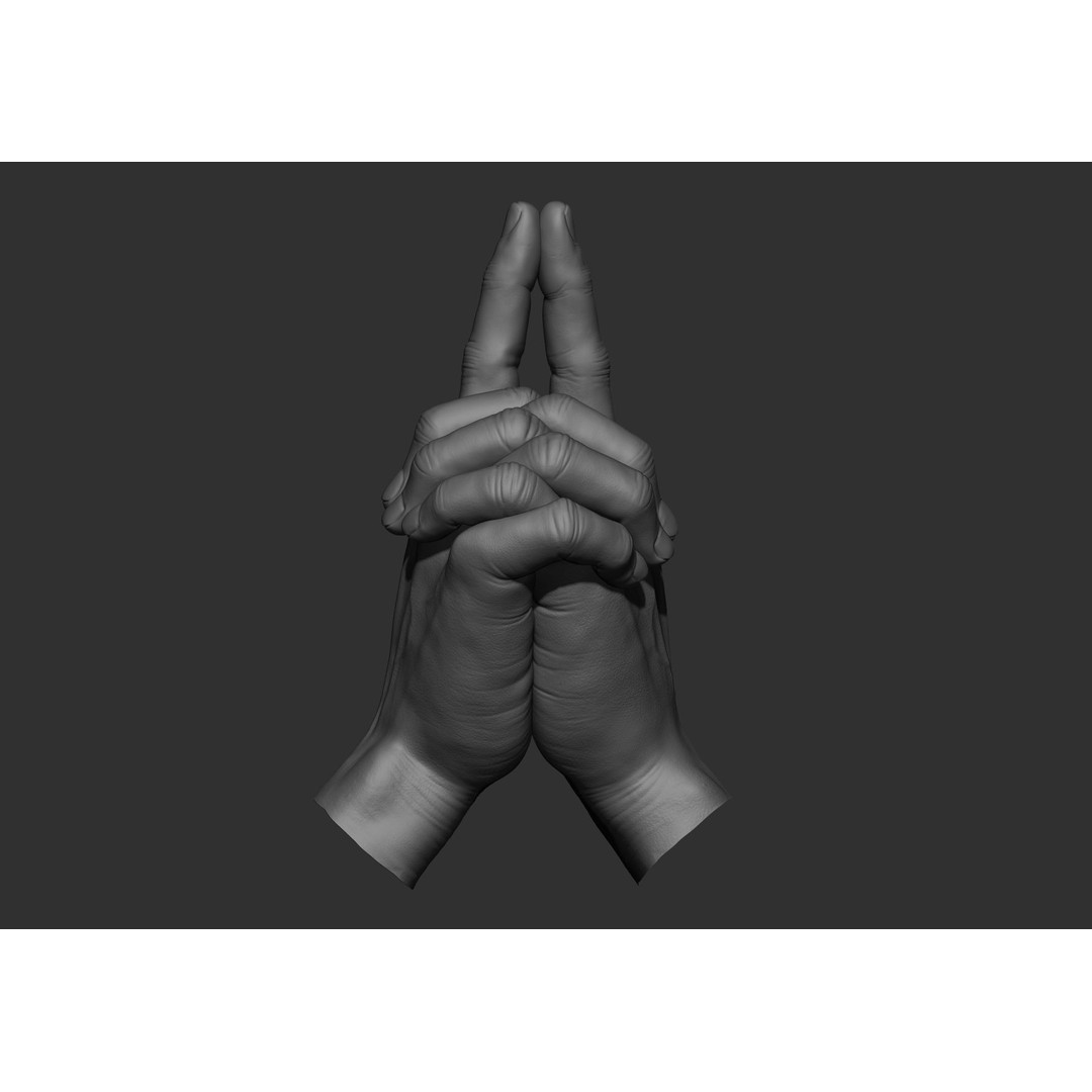 Realistic Male Hand Poses 3D Model – High Poly ZBrush Sculpt, FBX, OBJ - View 77