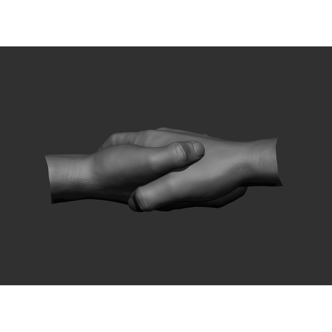 Realistic Male Hand Poses 3D Model – High Poly ZBrush Sculpt, FBX, OBJ - View 78