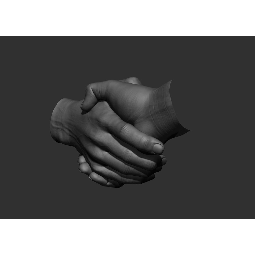 Realistic Male Hand Poses 3D Model – High Poly ZBrush Sculpt, FBX, OBJ - View 79
