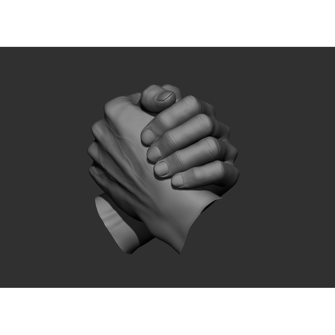 Realistic Male Hand Poses 3D Model – High Poly ZBrush Sculpt, FBX, OBJ - View 8