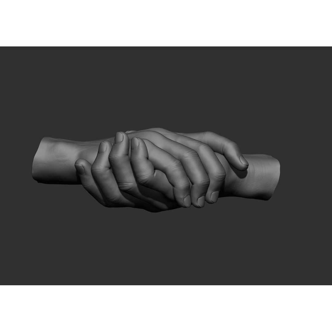 Realistic Male Hand Poses 3D Model – High Poly ZBrush Sculpt, FBX, OBJ - View 80