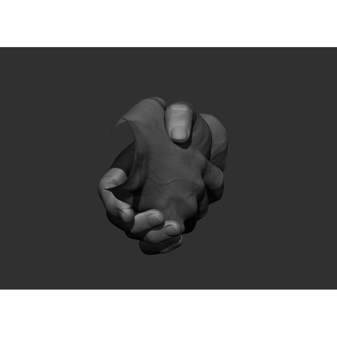 Realistic Male Hand Poses 3D Model – High Poly ZBrush Sculpt, FBX, OBJ - View 81