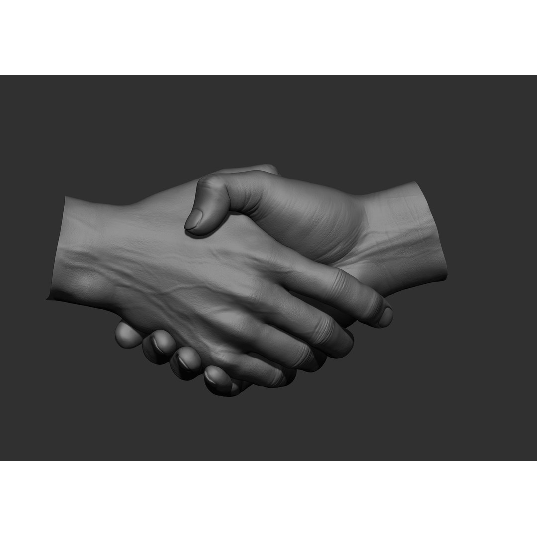 Realistic Male Hand Poses 3D Model – High Poly ZBrush Sculpt, FBX, OBJ - View 83