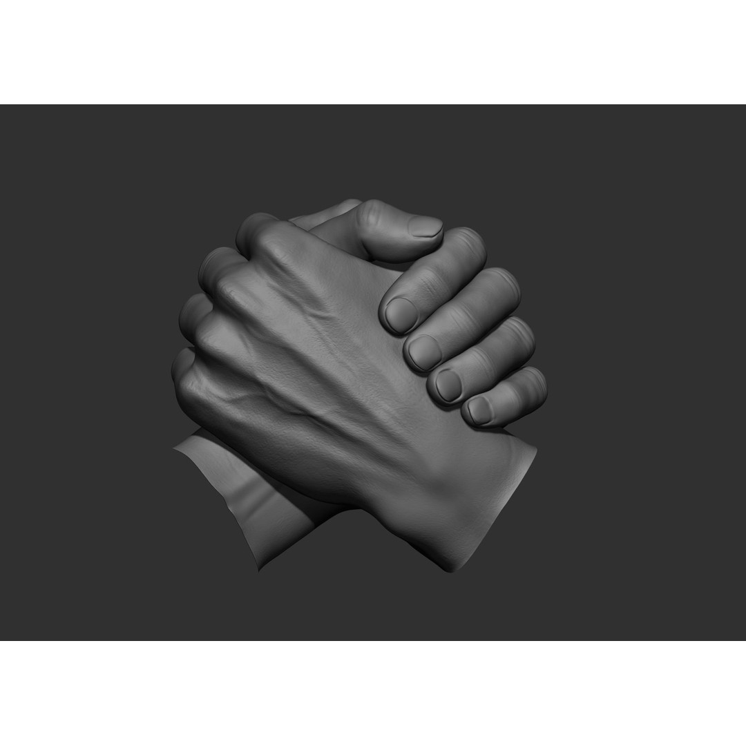 Realistic Male Hand Poses 3D Model – High Poly ZBrush Sculpt, FBX, OBJ - View 9