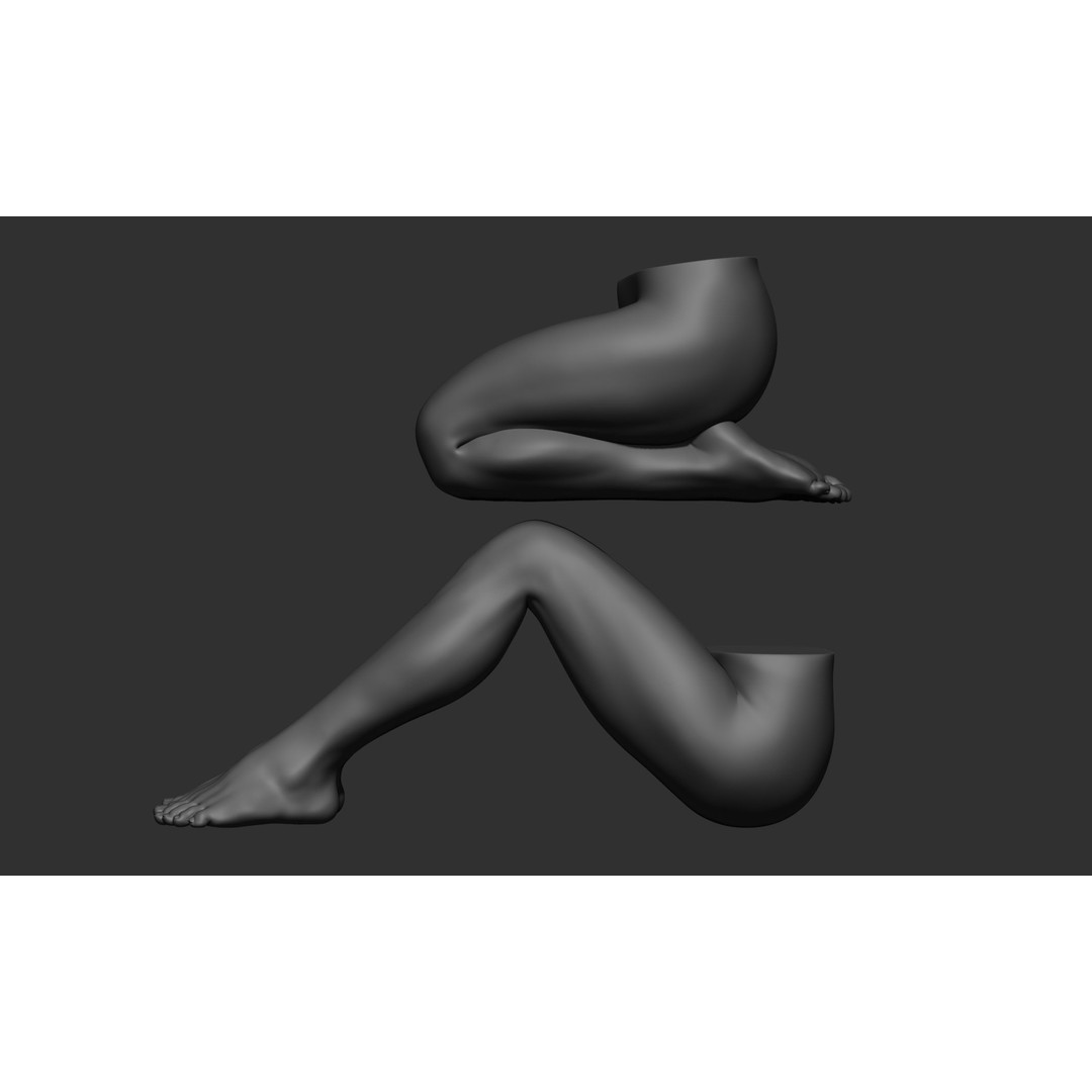 Female Leg Poses 3D Model – Realistic Anatomical Poses, FBX, OBJ - View 35