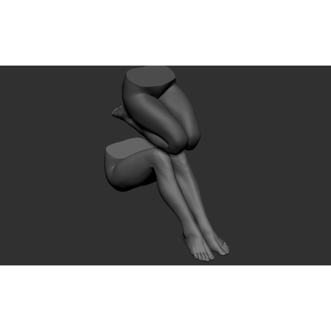 Female Leg Poses 3D Model – Realistic Anatomical Poses, FBX, OBJ - View 39
