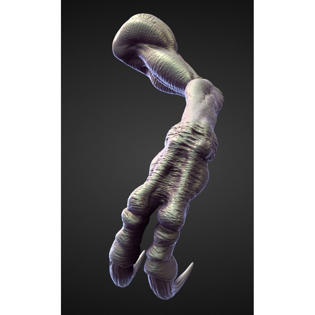 High Poly Arms 3D Model – Fantasy Character Sculpt Pack, Blender & OBJ - View 11