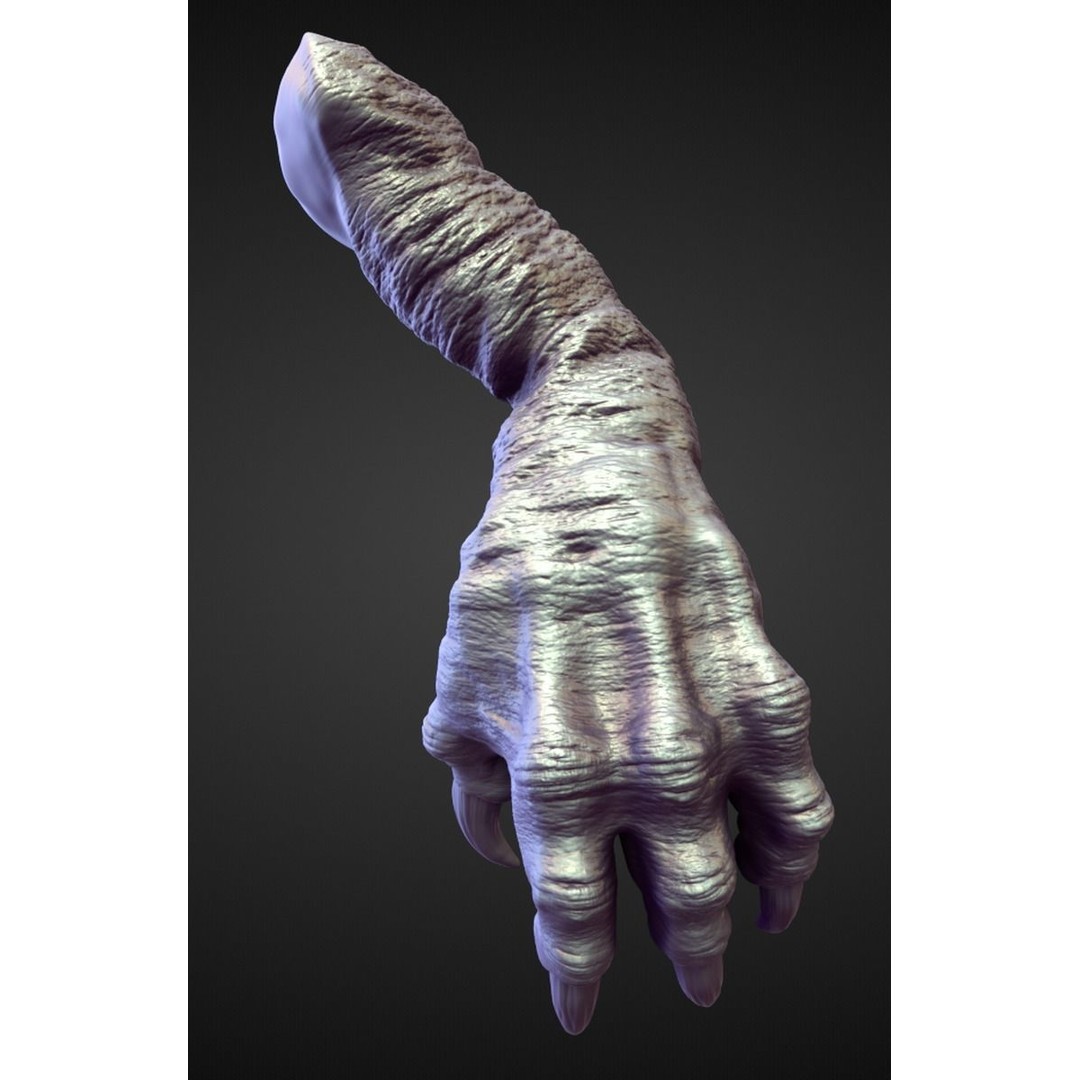 High Poly Arms 3D Model – Fantasy Character Sculpt Pack, Blender & OBJ - View 13