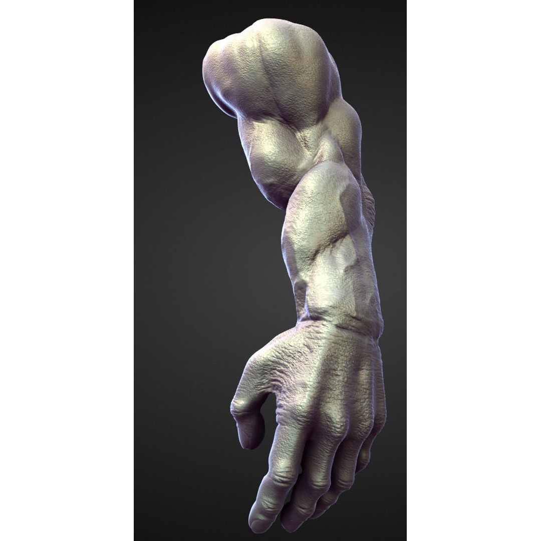High Poly Arms 3D Model – Fantasy Character Sculpt Pack, Blender & OBJ - View 14